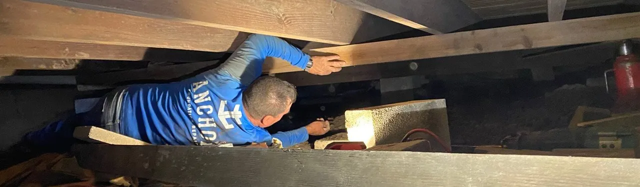 why crawl a crawl space?
